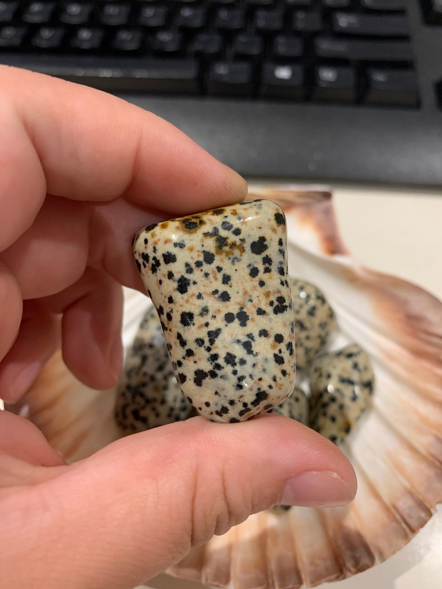 Dalmatian Jasper Tumbles