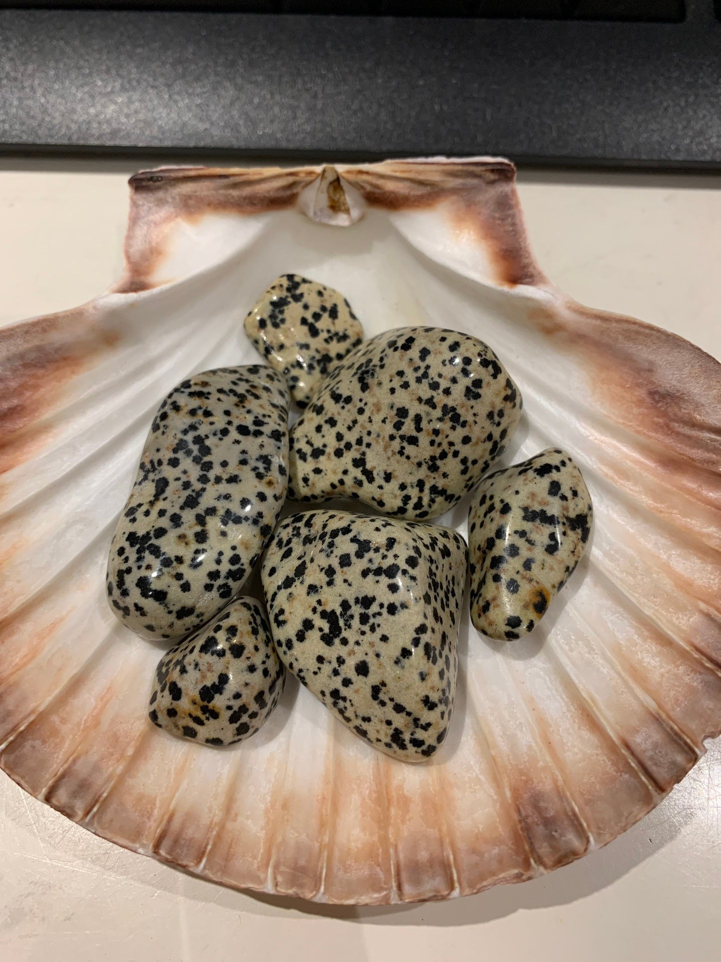 Dalmatian Jasper Tumbles