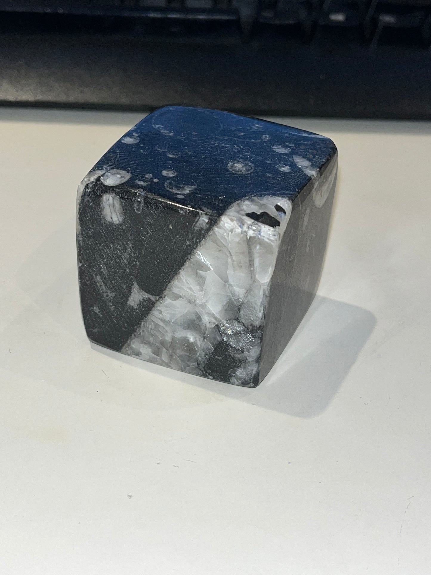 Orthoceras Cube