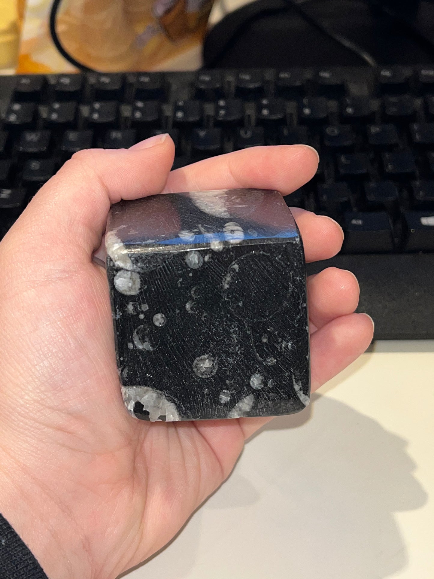 Orthoceras Cube